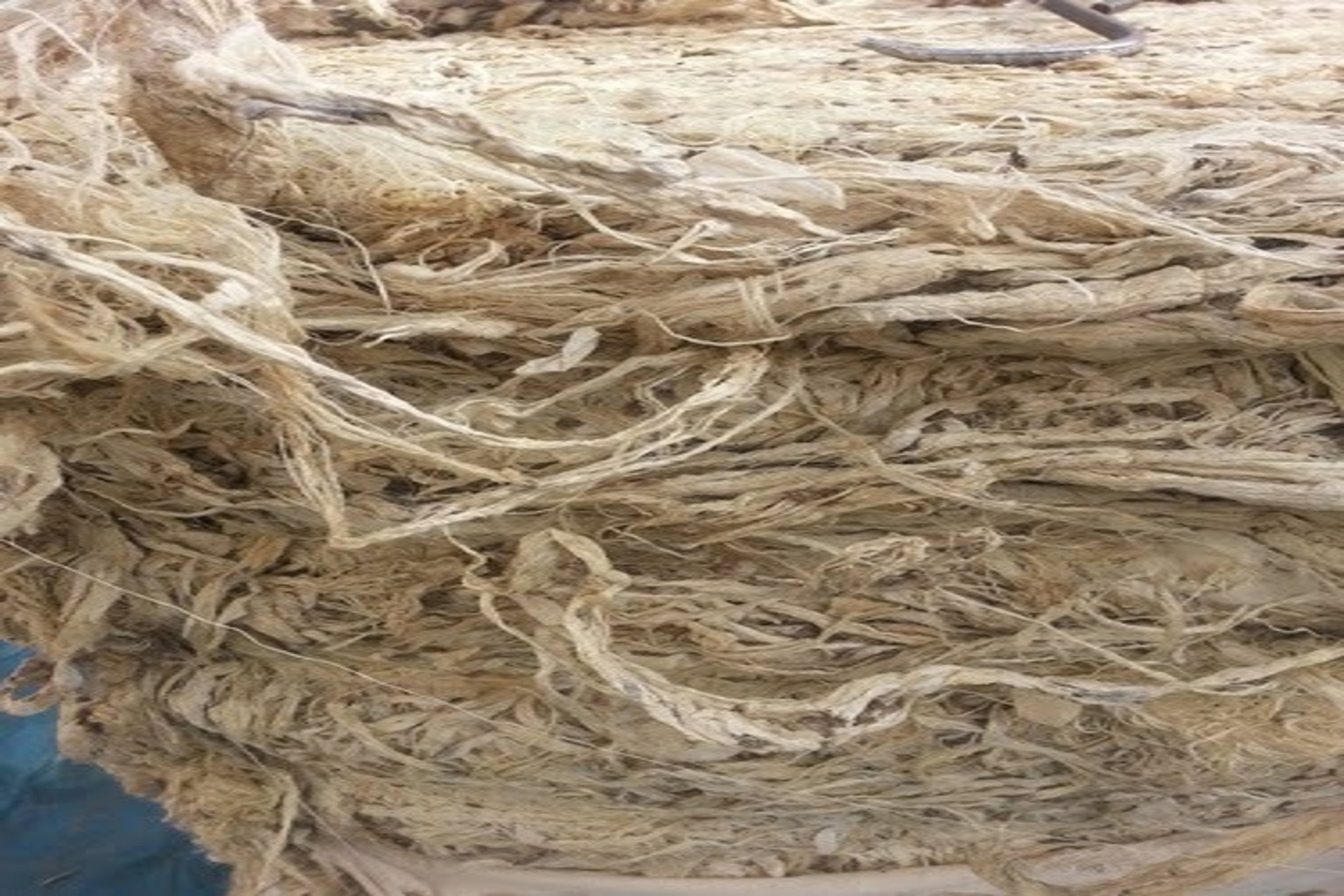 Silk Filature